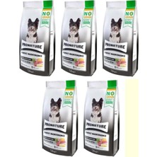Asitan Perfect Maintenance Kuzu Etli Patatesli Enginarlı Yetişkin Köpek Maması 1,5 Kg, 5'li Set PR-K15Y