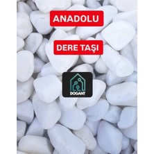 Asitan Dogant Anadolu Beyaz Dolomit Taş, 2 Kg, Dere Çakıl Taşı, Akvaryum Teraryum Saksı Dekor Taşı