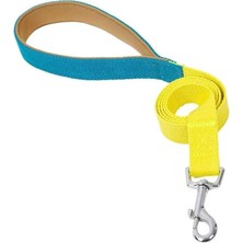 Asitan Köpek Gezdirme Tasması Ming, S