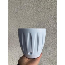 Asitan Papatya Saksı, 3 Adet, 1,5 Lt, Beyaz, Plastik Çiçek Saksısı Tabaklı