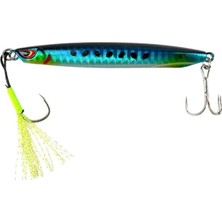 Asitan Sea Horse Ss Special 80GR Jig Sardine