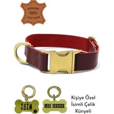 Asitan Caramelos- Hakiki Deri Köpek Boyun Tasması, Kişiye Özel Künyeli-Küçük ve Orta Irk- 2cm