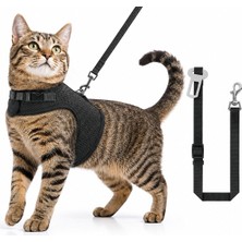 Asitan 3 Kat File Yeni Nesil Nefes Alabilen Kedi Göğüs Tasma 3'lü Set Siyah Siyah L