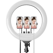 Asitan Rl-21 21 Inç Ring Light – Tripodlu Profesyonel LED Çekim Işığı, Tiktok Youtube Yayın Lamba