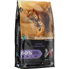 Asitan Kitten Lamb & Rice, Yavru Kedi Maması, 15 kg