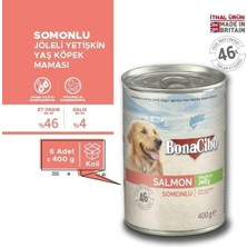 Asitan Jöleli Somonlu Yaş Yetişkin Köpek Maması 6 x 400 gr
