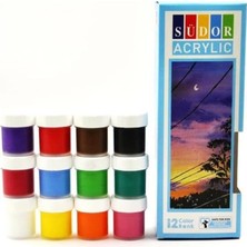 Asitan Akrilik Boya 12 Renk 20 ml 1 Paket Akrilik Boya Seti 12 Li Ahşap Tuval Taş Ağaç Boyamalar Için