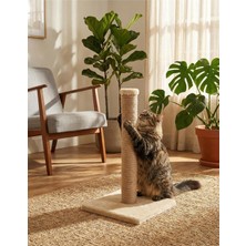 Asitan Peluş Kedi Tırmalama Tahtası 52 Cm, Beyaz