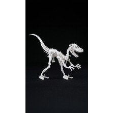Staau Çocuk 3D Dinozor Iskelet Puzzle – Kur Birleştir Eğitici Dinozor Maketi ve Iskelet Yapbozu - Velociraptor