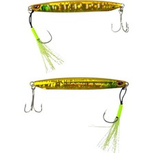 Asitan Sea Horse Ss Special 60GR Jig Squid Glow