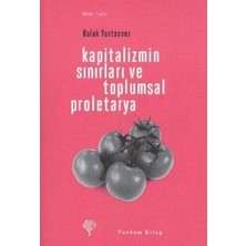 Yordam Kitap Kapitalizmin Sınırları ve Toplumsal Proletarya