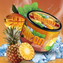Falcon Florida 250GR