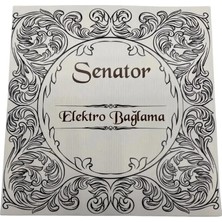 Senator 0,20 Elektro Bağlama Tel Seti