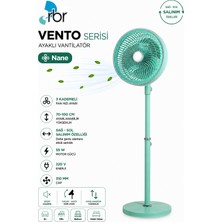 Rbr Nane 55W Ayaklı Vantilatör 3 Kademeli Hız Ayarlı 70-100 cm Ayarlanabilir Mint Yeşili