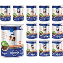 Yetişkin Köpek Somonlu ve Jöleli Konserve Mama 400 gr x 12 Adet