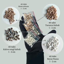 160 Adet Minik Deniz Kabuğu/akvaryum Süsleme Hobi El Sanatları