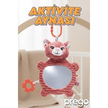 Toys Aktivite AYNASI,PRG-P210627-RNKL