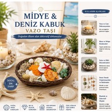 Oval Ahşap Sepet Renkli Mix Midye - Deniz Kabuk Vazo Taşı (5250)