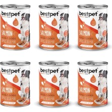 Bestpet Somon Balıklı Köpek Konservesi 400 gr 6'li Paket Yaş Mama