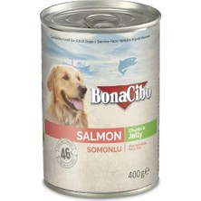 Jöleli Somonlu Yaş Yetişkin Köpek Maması 400 gr