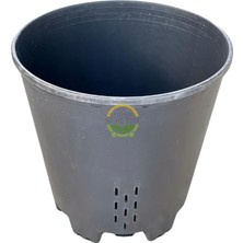 5 Adet Yaban Mersini Yetiştirme Saksısı 45 Litre