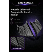 Universal Panigale Ön Kanat - Karbon