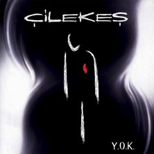 Kadıköy Plak Kulübü Çilekeş – Y.o.k.