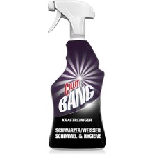 1001 Güçlü Temizleyici Siyah/beyaz Küf ve Hijyen, 1 x 750 ml