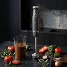 1001 Aryıldız Functional Stick Blender Antrasit