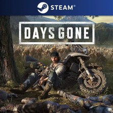 Days Gone Tr Steam CD Key