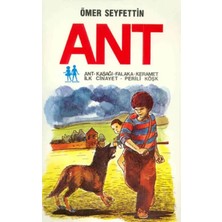 Flood Medical Ant