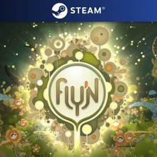 Fly'n Steam CD Key