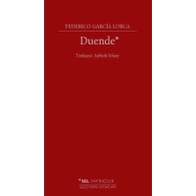 Flood Medical Duende