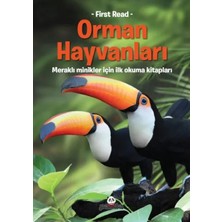 Egecen Orman Hayvanları