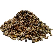 Get Store Doğal Nar Çekirdeği 100 gr Paket