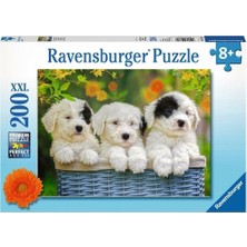 Get Store 127658 Cuddly Puppies 200 Parça Xxl Rensburger Puzzle