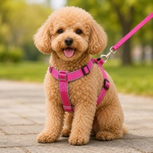 Get Store Gezdirme Kayışlı Dokuma Köpek Göğüs Tasma Seti 32*47-110 cm Pembe