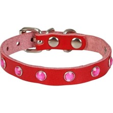 Egecen Taşlı Kedi ve Yavru Köpek Tasması 1,5X29 cm Kırmızı Xlarge