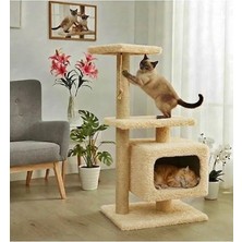 🐾 Turkuaz Tırmalama TR311 Premium Kedi Evi