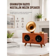 Bezos Bluetooth Nostalji Speaker Radyo Gramofon Ahşap Renk Vintage Yeni Nesil