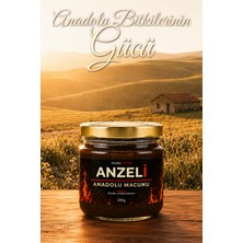 İnuba Terra Anzeli Anadolu Macunu Ginsengli Güç Kuvvet 240 gr