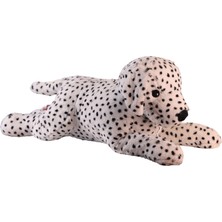 Meks 1140 90 cm Dalmaçyali Köpek