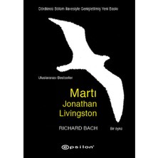 ALK Martı Jonathan Livingston