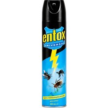 Entox Sinek Savar Püskürtme Sprey 300ML