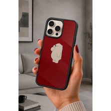 BG AKSESUAR iPhone 16 Pro Max Uyumlu Kutupayısı Desenli Kamera Korumalı Darbelere Dayanıklı Kılıf