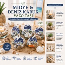 Altaylar Tedarik 15 Adet Fileli Renkli Mix Eko Midye - Deniz Kabuk Vazo Taşı