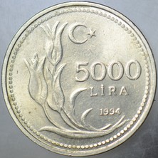 Banknoting 5000 Lira 1994 Çilaltı.