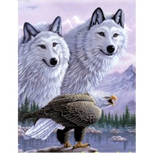 Twin Store 5d Elmas Boyama Kartallı Kurt Resmi Tablosu 40X60 cm