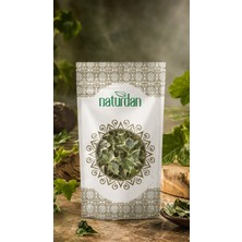 Naturdan Sarmaşık Yaprağı(Duvar Sarmaşığı) 2000G