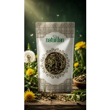 Naturdan Karahindiba-Taraxacum Officinale 100G